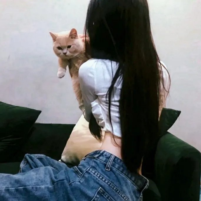 十八怀春绮梦时